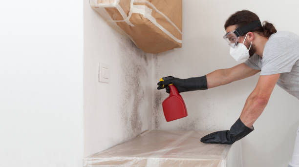 Professional Mold Testing technician working in Machipongo, VA